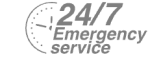24/7 Emergency Service Pest Control in Stanmore, Queensbury, HA7. Call Now! 020 8166 9746