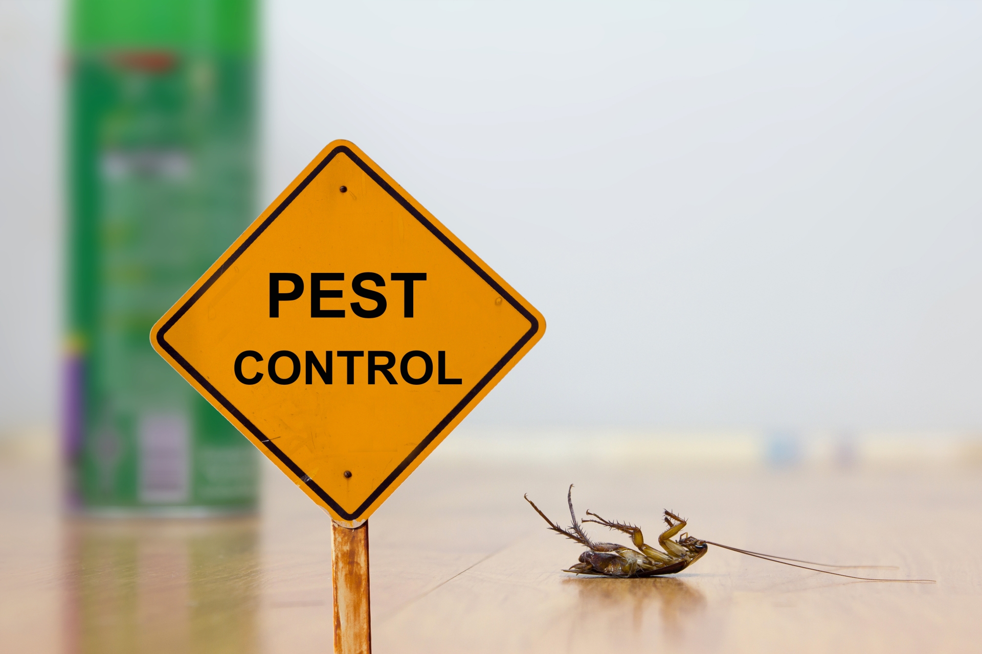 24 Hour Pest Control, Pest Control in Stanmore, Queensbury, HA7. Call Now 020 8166 9746